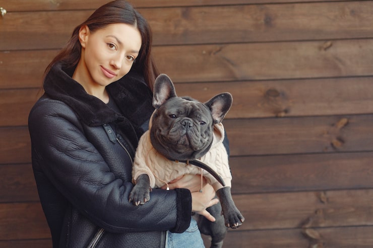 French Bulldog Puppies for Sale in Atlanta